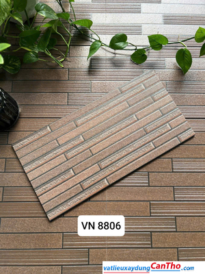 Việt Nhật VN 8806